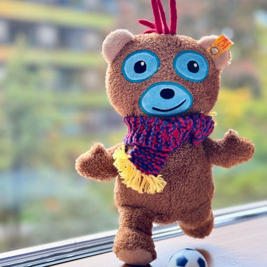 Stiftung Pro UKBB - Boby - Masskottchen - Spenden - Kinder - Basel - kranke Kinder - Unterstützen - Bär - Steiff-Baer - Teddy