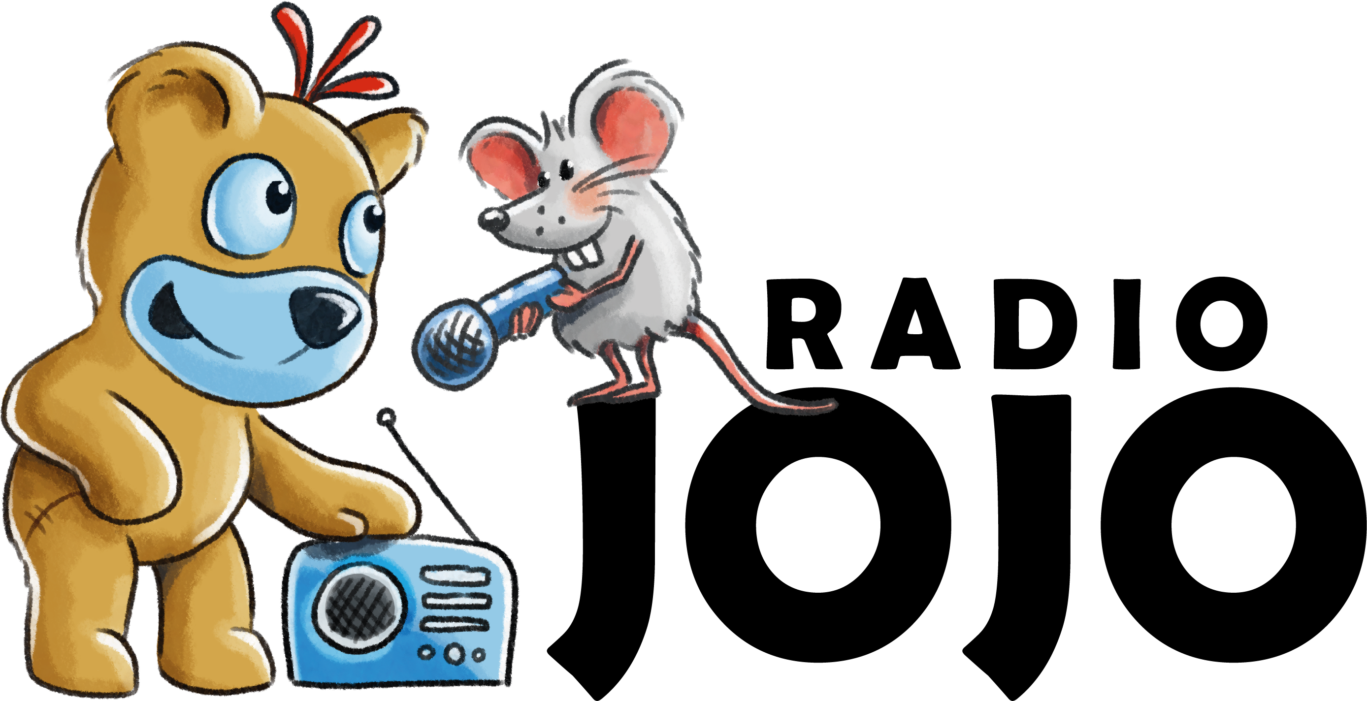 Stiftung Pro UKBB, Spenden